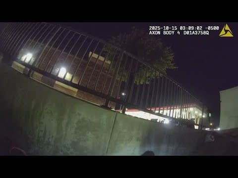 New video shows arrest made after woman attacked by dog at park in North Texas