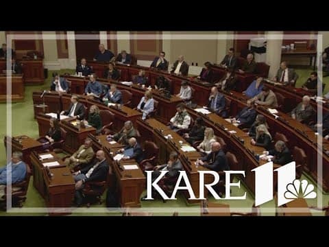Minnesota House DFL sues GOP over alleged 'unconstitutional sham session'