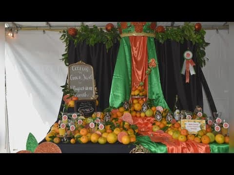 78th Annual Orange Fest starts this weekend