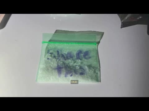 Man accused of crashing drone with drugs attached into Hillsborough County home