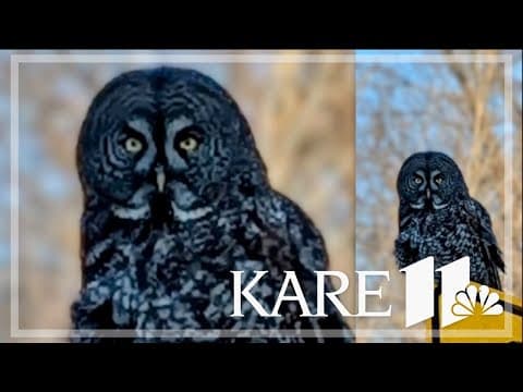 Your Good News: Gina Wingness, Judy Stephens, Carlis