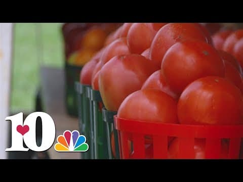Celebrating a Tennessee summer staple: Tomatoes