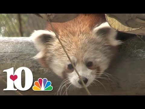 Zoo Knoxville taking steps to protect animals ahead of winter weather