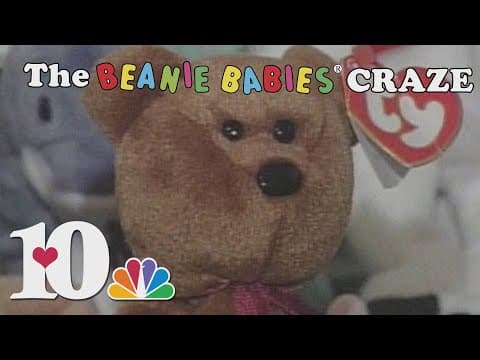 Knoxville's Beanie Babies Craze