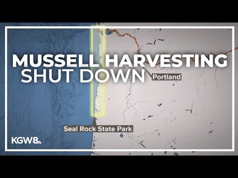 Mussel closure extended across northern coast due to reported illnesses