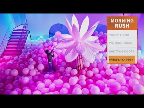 New sensory experience is coming to the Grapevine Mills mall