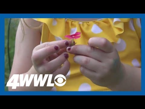 Metairie couple fights to keep their native plant garden