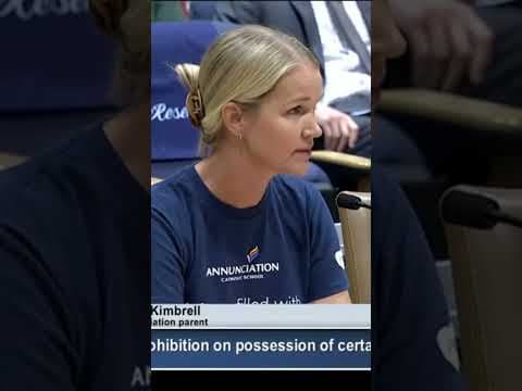 'There will be another mass shooting': Annunciation parent asks lawmakers for ban on assault weapons