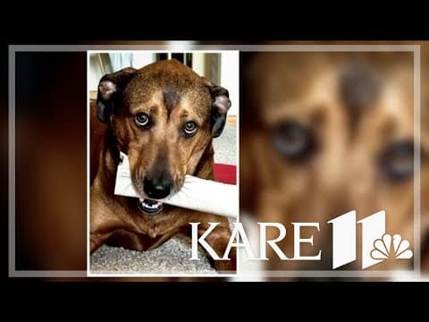 Your Good News: Randy, Vicky Hughes, Kris Terp