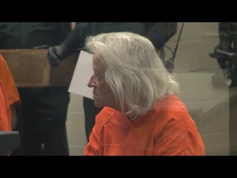 Elderly woman arrested after hit-and-run crash kills 2 young kids, critically injures mom