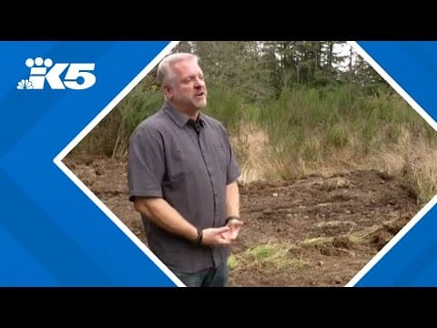 Tacoma Rescue Mission to break ground on new tiny home village in Spanaway