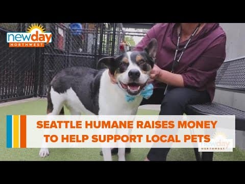 Seattle Humane raises money to help support local pets - New Day NW