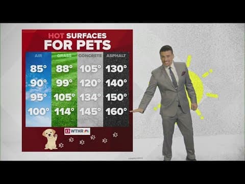 High heat means scorching hot sidewalk pavement for pets