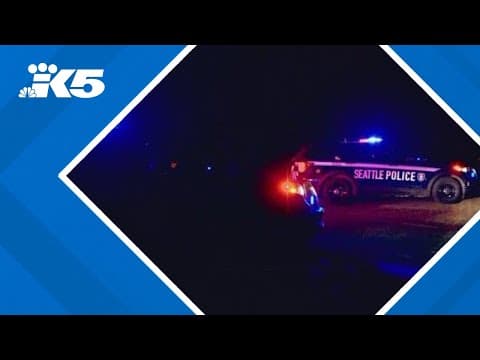 Teen shot at Seattle's Seward Park