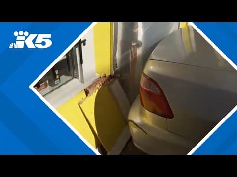 Suspects smash truck into Seattle's Math'n'Stuff during attempted break-in