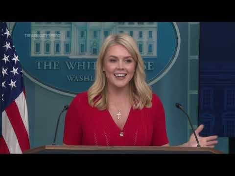 White House thanks Musk for his service, insists DOGE will continue