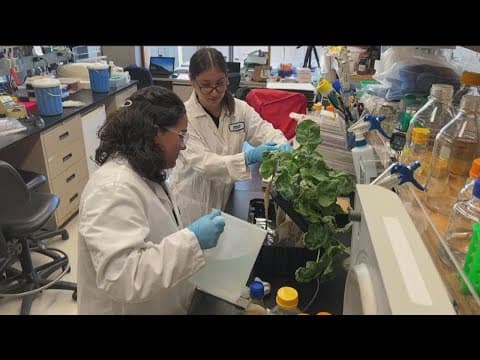 Salk Institute’s High School Summer Scholar Program explores science
careers with paid internships