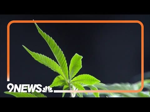 Marijuana use may be linked to higher risk of heart attack and storke