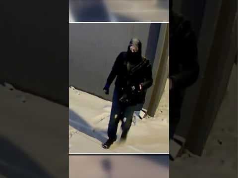 Tesla Vandalism Suspect Arrested With Explosives