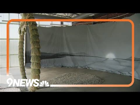 New art installation result of collaboration between artists from Denver, Japanese sister city