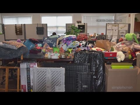 Virginia neighbors bring holiday cheer to local animal shelters with donation drive | Get Uplifted