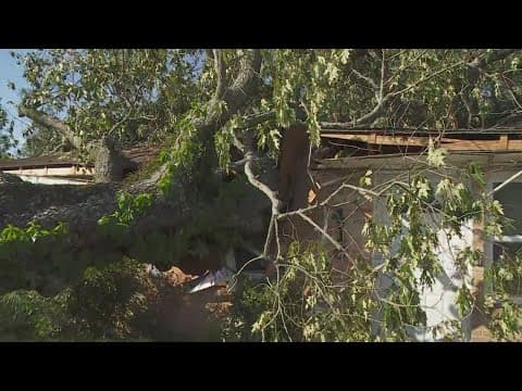 Slidell cleanup focuses on fallen trees