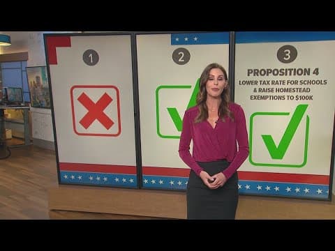 How did Texans vote on hot-topic state propositions?