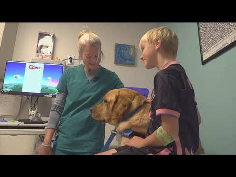 How medical staff train with resident canines to help pediatric patients at Rady Children's Hospital