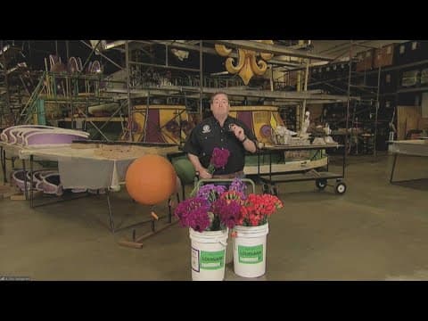 A preview of the "Explore Louisiana" float for the 2024 Rose Parade