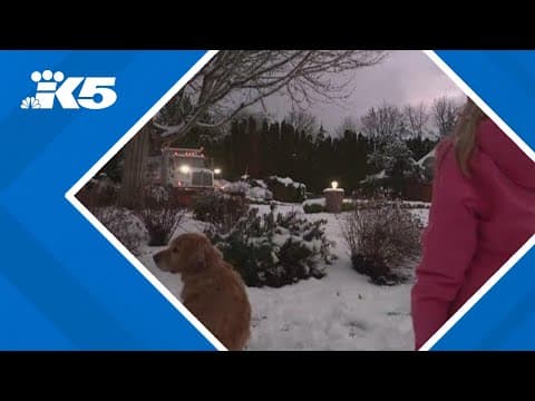 Snow day or no way: Cougar Mountain residents battle slippery, blocked roads to get to class