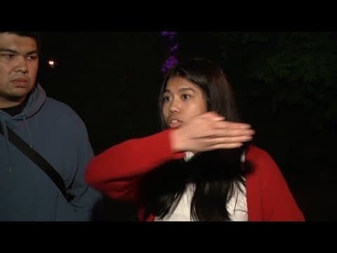 Vancouver festival tragedy witness: 'This is supposed to be a fun event. We're supposed to unite'