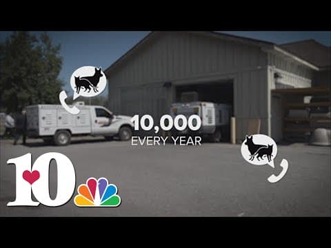 YWAC takes over animal control services in Knoxville