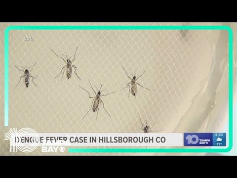 Dengue fever confirmed in Hillsborough County