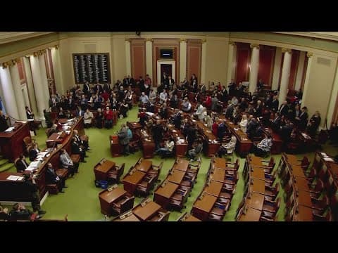 Minnesota House debate goes to State Supreme Court