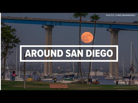 Around San Diego | The biggest stories of the past week (Jan 10)