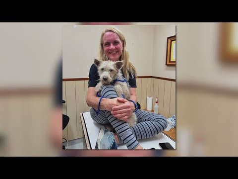 Scrim won't be given to adoptive family