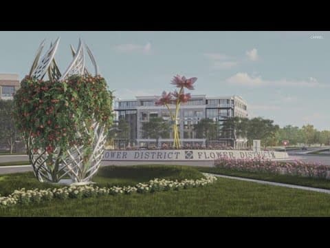 Carmel announces new "Flower District"