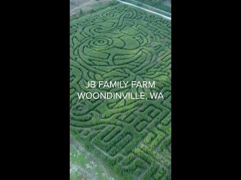 Aerials of JB Family Farm corn maze in Woodinville