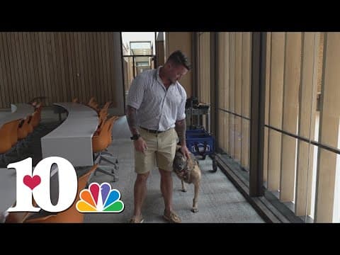 UT College of Veterinary Medicine holds re-dedication of the War Dog Memorial