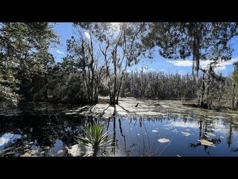 Chuck's Big Adventure in Charleston: Magnolia Plantation