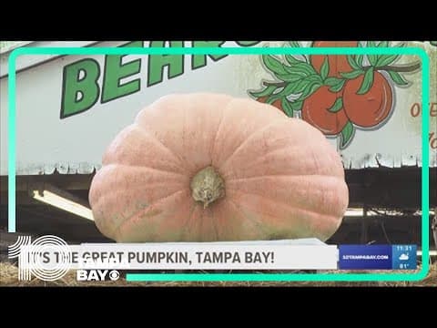 Florida's largest pumpkin arrives in Tampa