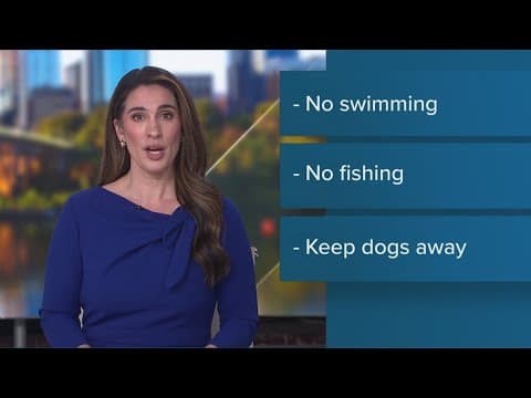 Health alert: Toxic algae bloom found in Burke Lake, keep dogs away