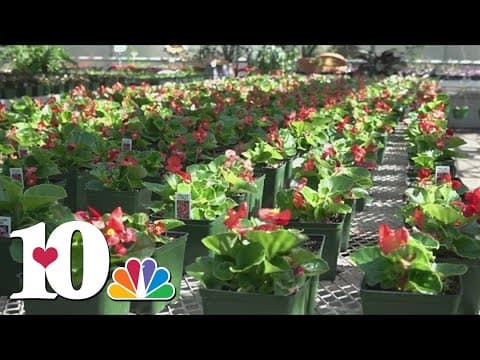 Experts recommend bringing plants inside ahead of potential overnight freezes