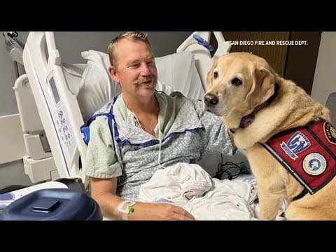 One of three San Diego firefighters injured in crash released from Louisiana hospital