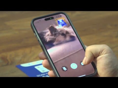 YouTube thumbnail for video 8YdFWjwy6G8