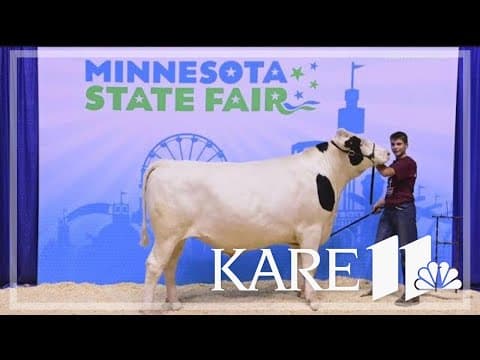 4-H, FFA animals shine in showmanship