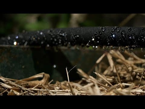 How a simple soaker hose setup can protect your foundation during the heat