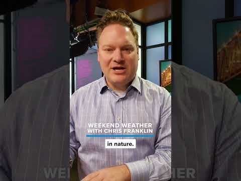 Gulf disturbance dumps more rain | Cold front on the way