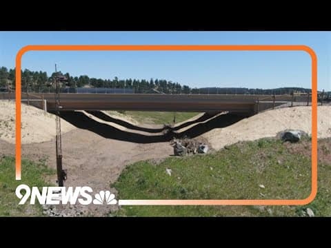 New underpass could decrease collisions with wildlife by 90 percent