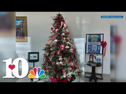 Tennessee Gov. Bill Lee honors Mission of Hope